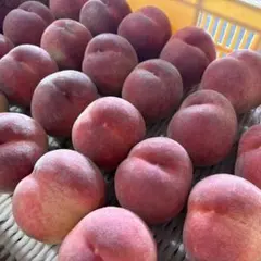 292山梨県産 桃 約3kg ご家庭用・加工用【訳あり】のサムネイル