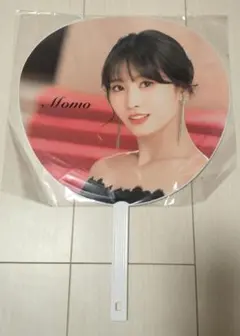 Item thumbnail for item b3ad7895-6e2b-454f-a9a4-2974ae50c1e5