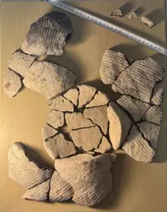 「縄文土器の欠片 No.553」です。のサムネイル
