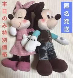 ミッキー&ミニー ルビー&ミントショコラ　ペアぬいぐるみ