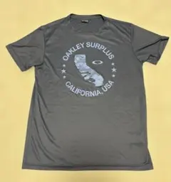 シルバーウルフ 魔裟斗 コラボ チャンピオン Tシャツ 黒 - メルカリ