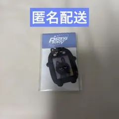 RIIZE ウォンビン　トニャンドク　RIIZING DAY IDフォトケース