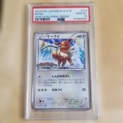 2026年最新】213/BW-P イーブイの人気アイテム - メルカリ