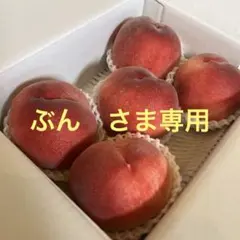 山梨一宮の木のてっぺんで収穫した　めっちゃデカイ　プレミアムピーチを5個詰め発送