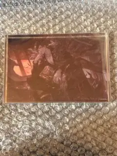 グラブル(105)《グラフェス 2023 ホログラムアクリルスタンド VDver 