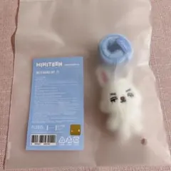 SEVENTEEN セブチ MINITEEN エスクプス デコバンド