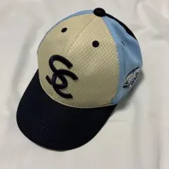 【東京ヤクルトスワローズ】ファンクラブ☆ジュニアサイズのサムネイル
