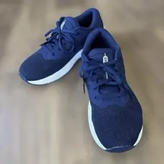 Item thumbnail for item bff068ba-2d3b-4431-af39-1949ca8afffd