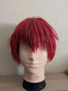 テニスの王子様　丸井ブン太　ウィッグ