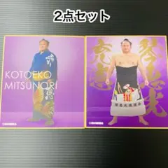 2025年最新】相撲 尾車の人気アイテム - メルカリ