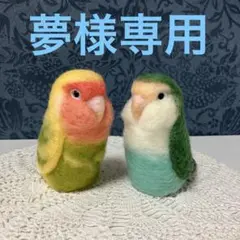 リクエストNO.2574☆コザクラインコ2点セット