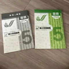 新小学問題集 国語 5年生