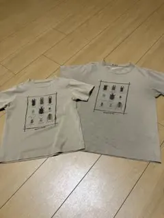 mont-bell 昆虫プリント Tシャツ 110cm 140cm