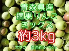 【青森県産りんご】加工用　摘果りんご　品種ミックス　約3kg（箱込み）のサムネイル