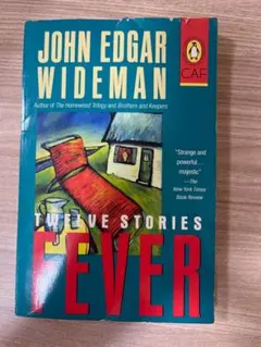 Twelve Stories: Fever by John Edgar Wide