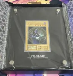 2026年最新】ブラックマジシャンステンレス 10000個限定の人気アイテム