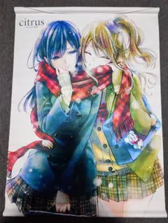 2025年最新】citrus タペストリーの人気アイテム - メルカリ