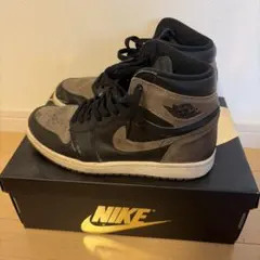 Nike Air Jordan 1 Retro パロミノ 美品 29cm 2025年最新】palomino jordanの人気アイテム - メルカリ