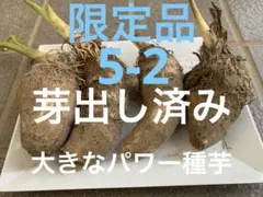 ねっとり大きな里芋　農薬不使用 　おいしいよ♡ 91bb4cd01c52faeacf9ed57fa789ba