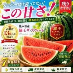 ２玉！！熊本県産 羅王ザ・スウィート プレミアムスイカ 9kg以上 2玉セット 熊本県産 羅王ザ・スウィート プレミアムスイカ 9キロ✖️2