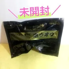 未開封 ホウオウ フィギュア 予約特典 ポケモン ハートゴールド 非売品 任天堂