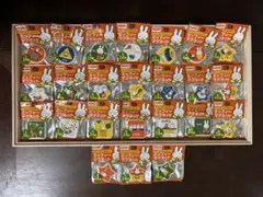 ミッフィー マグネット　ダイドードリンコオリジナル　24個(23種/全24種)