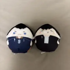 ハイキュー 影山飛雄 ふわころりんマスコット　セット