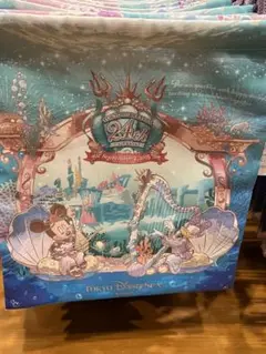 ディズニーシー　24周年　巾着