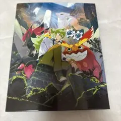 ポケモンカード コレクションファイルセット N