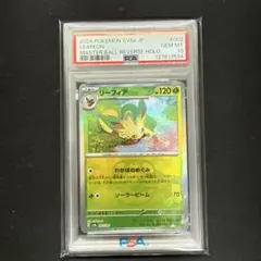 2025年最新】リーフィア マスターボール psa10の人気アイテム - メルカリ