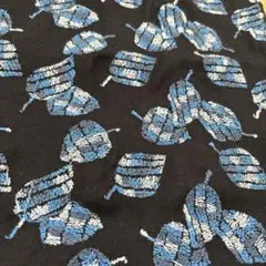 Item thumbnail for item a0fb10ae-cf53-449a-9d30-7caf5f79f77d