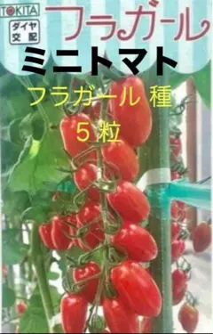 ばん様 リクエスト 2点 まとめ商品