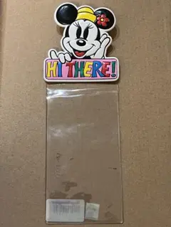 ディズニーランド　チケットホルダー