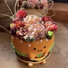 再販❣️ハンバーガー♡多肉植物寄せ植え♡そのまま飾れる♡