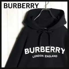 2025年最新】BURBERRY 柄・デザイン：プリント(ロゴなど) メンズ
