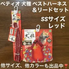 Item thumbnail for item 3c3d439c-b9a5-4e74-8591-b78e098fd3db