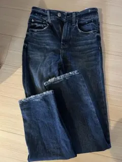 Healthy Denim デニム サイズ22 ダークブルー