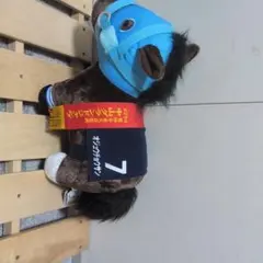 タグ付き アイドルホース オジュウチョウサン 中山グランドジャンプ