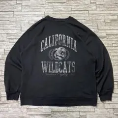HOLLISTER カレッジスウェット グレー カリフォルニア WILDCATS