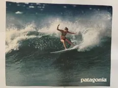 2026年最新】patagonia ポスターの人気アイテム - メルカリ