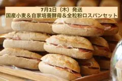2品出品　6月25日発送　国産小麦＆全粒粉＆自家培養酵母ロスパンセット①のサムネイル