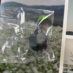 ピクミン マスコット&フルーツグミ2 岩ピクミン