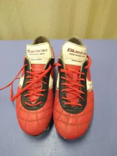 Item thumbnail for item 7b55c228-a4dd-430f-a1aa-2f5932159e52