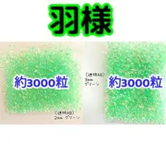 羽様(専用)