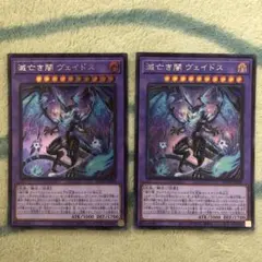 1001 世界中心　遊戯王　滅亡き闇ヴェイドス　シークレット２枚セット