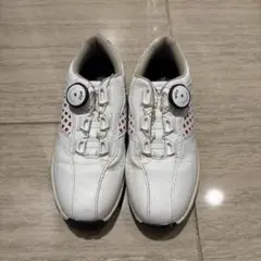 Item thumbnail for item 91b68ad8-3ce9-494a-bba9-5e77e8e35d57