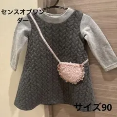 センスオブワンダー ワンピース