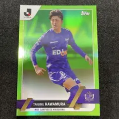 Item thumbnail for item 1148c0fb-eb31-4771-a8aa-98697d3e69a6