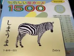 2026年最新】家庭保育園 絵カードの人気アイテム - メルカリ