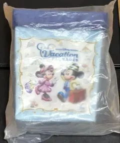 新品 未使用 バケーションパッケージ ポップコーンバケット ディズニー バケパのサムネイル